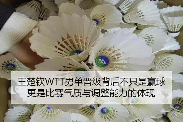 王楚钦WTT男单晋级背后不只是赢球更是比赛气质与调整能力的体现 - jiuyou sports